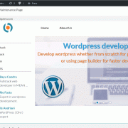 Interactive wordpress management